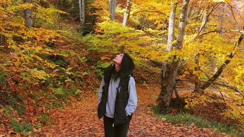 Woman Looks Up in an Autumn Forest