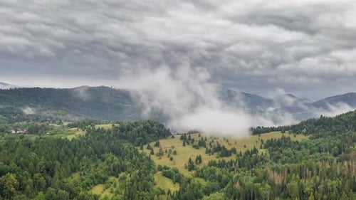 Dramatic Grey Clouds over Green Forest