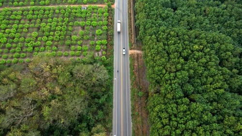 4K Aerial view over a farmer's garden. A car drives on a road near a garden in rural Thailand.