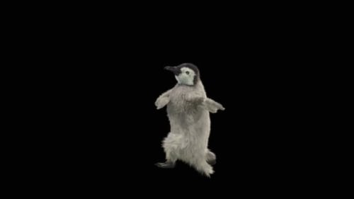 Penguin Dancing HD