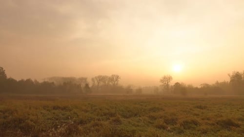 Golden Sunrise Over Misty Rural Grassy Field