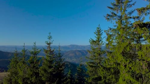Flying Over the Carpathian Mountains