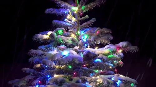 Snowy Christmas Tree Lit Up At Night