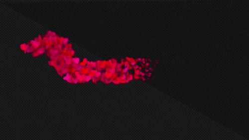Pink Hearts Particle Flow Reveal Transition