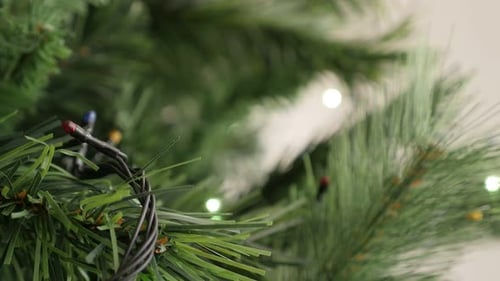 Colorful dot bulbs in a row blinking on Christmas tree close-up 4K 2160p 30fps UltraHD footage - N