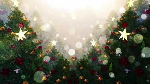 Festive Christmas Trees Background with Glowing Stars and Snow