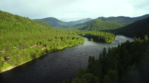 Aerial view Siberian River and Forest Video