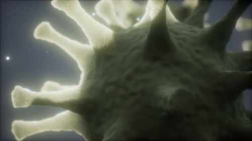 Animated Microorganism 3D Science Visualization