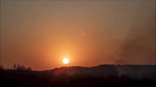 Peaceful Sunset over Trees and Fog