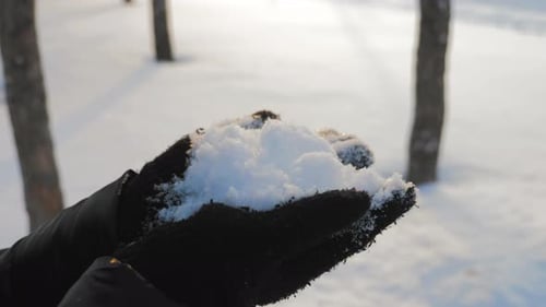 Snow Held in Gloved Hands in Winter Sunlight