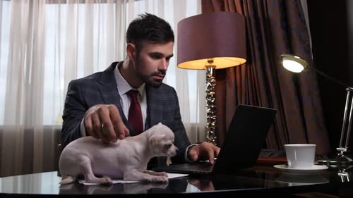 Respectable Man Working at Office Table with Puppy