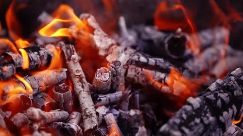 Smoldered wooden logs background
