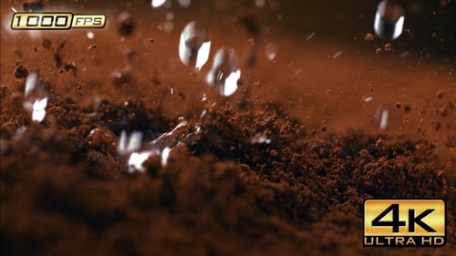 Water Droplets Splashing on Cocoa Powder Surface
