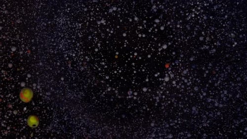 White and Yellow Particles Move Randomly
