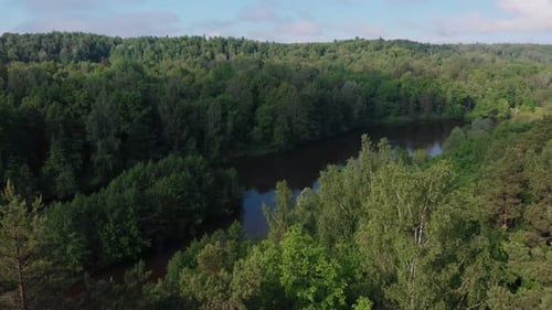 Landscape of Green Nature - the River Stretches Near the Forest