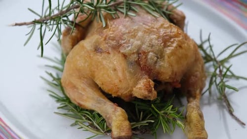 Baked chicken rotating on dish. Grilled poultry meat.