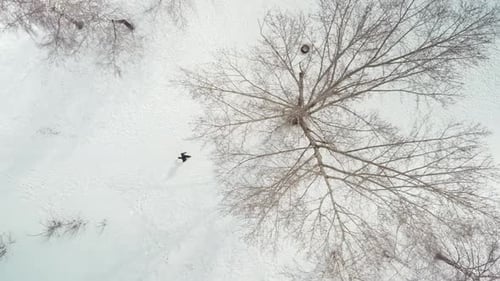 Die Figur eines Mannes rennt durch einen schneebepflanzten Wald