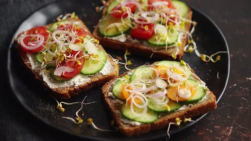 Vegetarian Open Faced Toasts with Veggies and Sprouts