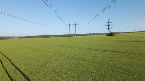 Aerial View of High Voltage Electric Towers and Flying Over a Field of Wheat