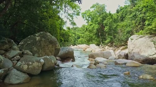 Camera Moves Along Stormy River with Rapids Among Tropics