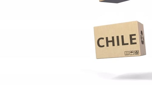 PRODUCT OF CHILE Text on Cartons