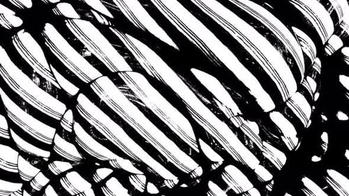 Abstract striped background