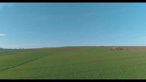 Foto aérea de campo verde en primavera