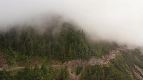 Landscape View of the Top of Foggy Mountains Filled with Forest and Pine Trees