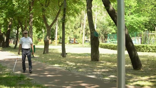Blinder alter Mann erkennt Hindernisse mit weißem Stock und stößt gegen Säule im Park