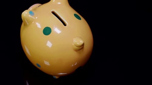 Pig Bank Dark Off Center