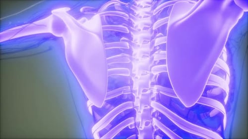 Glowing 3D Human Skeleton Medical Anatomy Pan