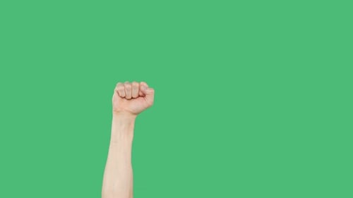 Human Hand Palm Clenched Fist on Green Chromakey Background. Raised Clenched Hand Fist on Green
