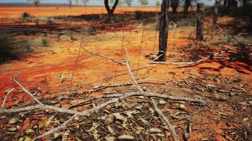 Dry Australian Outback Fence Post with Red Earth Landscape