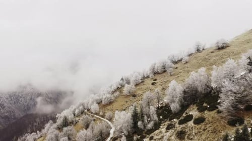 Aerial View of a Multicolored and Varied Mountain Landscape. Green Forest and Snow Covered Trees