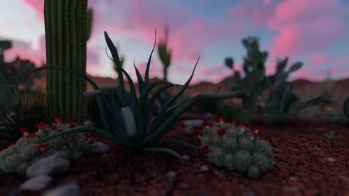 Sunrise In The Desert Cartoon Style