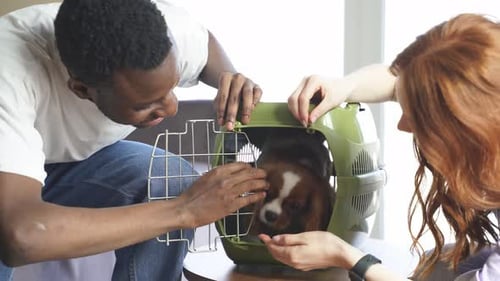 Couple Opens Pet Carrier, Removes Small Dog