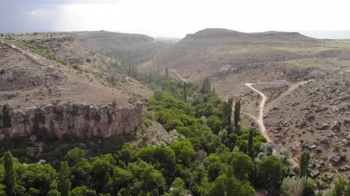 Bosque y monturas