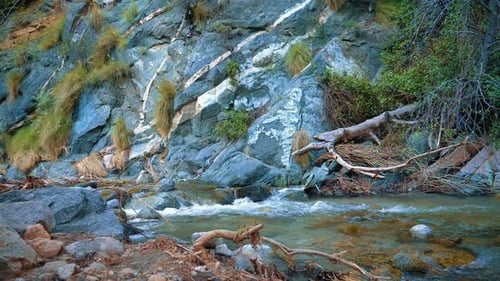 Mountain Rocks with Blue Water Falling Down the River and Broken Tree Branches in Wild Water Stream