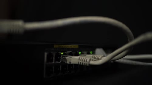 Ethernet Switch with Cables and Flashing Green Lights