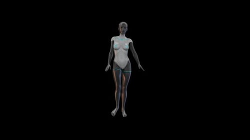 Humanoid Women Sexy Walk