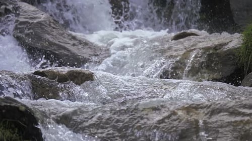 Rive Magic Forest Waterfall Mountains Jungle Rocks Wild Sun Morning Water Ecology