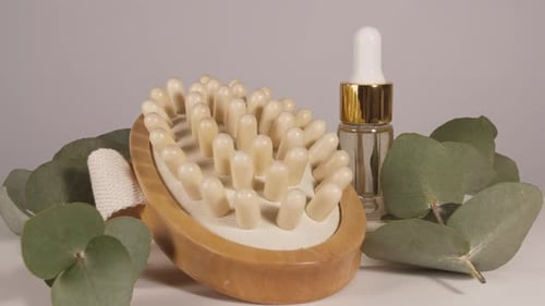 Natural Organic Spa Cosmetics Products with Eucalyptus Oil Massage Brush Eucalyptus Leaf Extract for