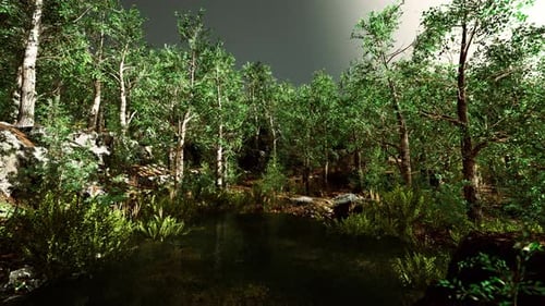 Summer Forest Landscape with Green Deciduous Trees on the Bank of the Small Pond