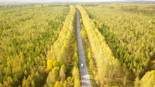 Aerial View of Cars on Forest Road
