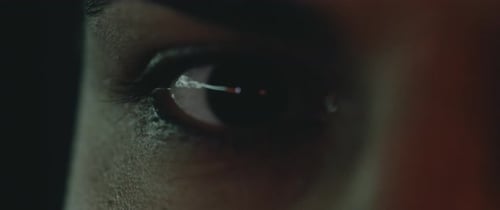 Eyes of a Fighter