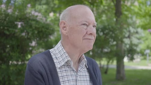 Portrait of Cute Old Man Sitting on a Bench in the Park