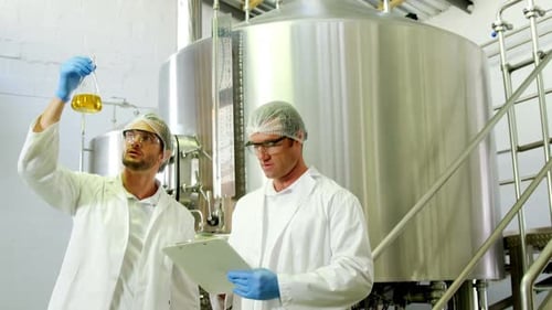 Two brewers checking pint of beer 4k