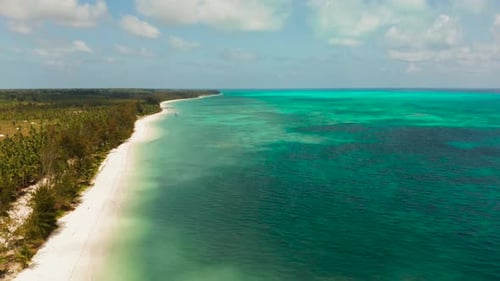 Tropische Insel mit Sandstrand