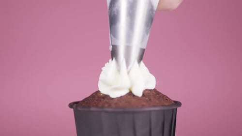 Chocolate Cupcake Frosted with White Cream