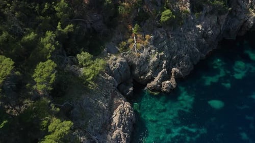 Drone Over Trees On Rocky Coastline With Clear Turquoise Sea